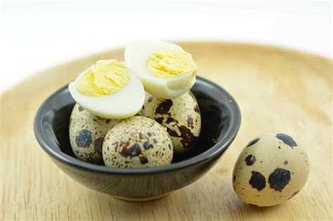 Quail Eggs: Health Benefits, Recipes & More - Heritage Acres Market LLC