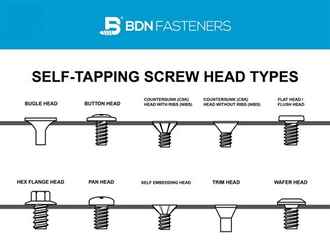 10 Screw Head Types: Different Self-Tapping Screw Head Types