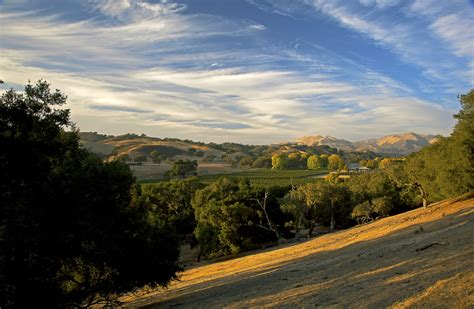 Fess Parker Winery & Vineyard - Santa Barbara County Vintners