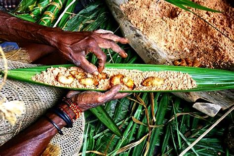 Pesta Ulat Sagu in Boven Digoel Regency, Papua Province