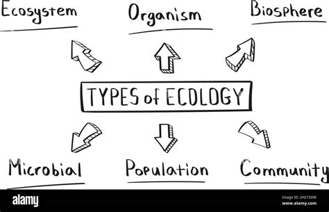 Concept of types of ecology mind map in handwritten style Stock Vector Image & Art - Alamy