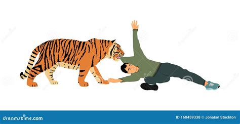 Tiger Attacks Man Illustration Isolated on White Background. Wild ...