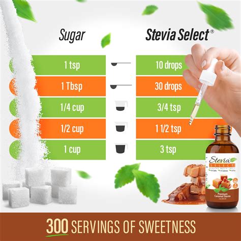 Stevia Liquid Caramel Sweet Drops | Premium Stevia Flavor-No bitter aftertaste. – Stevia Select