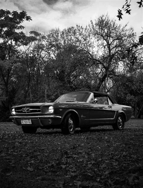 Vintage Ford Mustang Photos, Download The BEST Free Vintage Ford ...