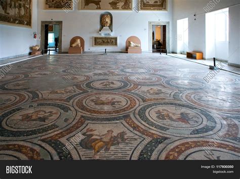 Tunis Museum Image & Photo (Free Trial) | Bigstock