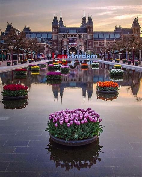 Tulip season in Amsterdam - Picture Of The Day