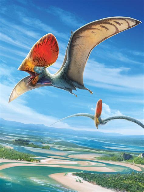 Tupandactylus had a wingspan over 5 meters. (art by Will Macroni) : r ...