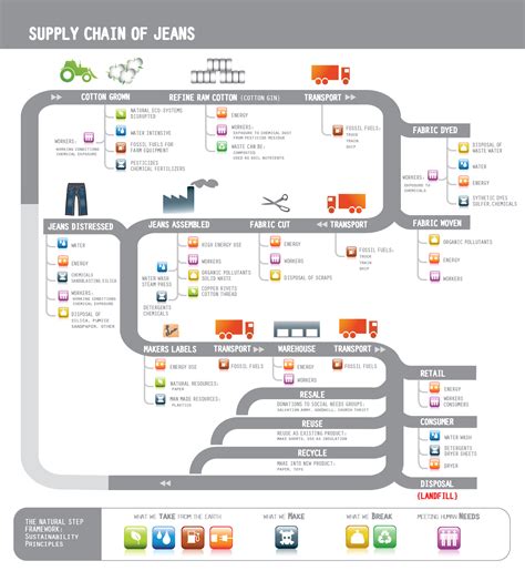 visual storytelling infographic for the supply chain of jeans