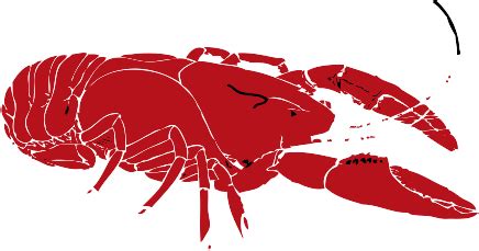 Download #FF00FF Red Crayfish Vector Clip Art SVG | FreePNGImg