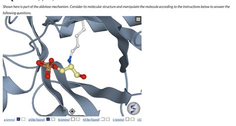 Shown here is part of the aldolase mechanism. | Chegg.com