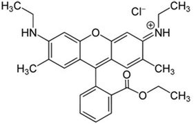 Structure of Rhodamine 6G (R6G) | Download Scientific Diagram