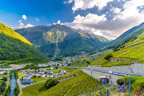 Martigny (Switzerland) - Vineyards Stock Photo - Image of cultivation, martigny: 31148138