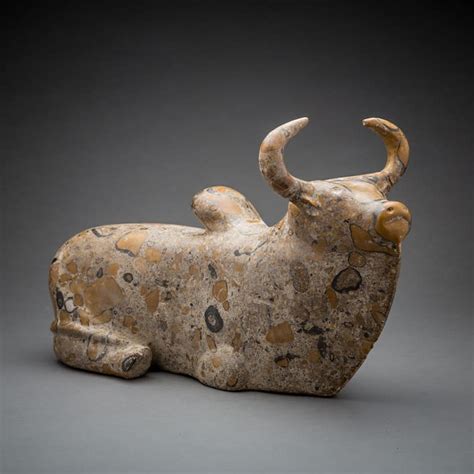 Zebu cattle are an exclusive legacy of the South Asia neolithic, intricately tied with Hindu history