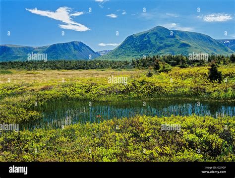 Long Range Mountains Stephenville Newfoundland & Labrador Canada Stock Photo - Alamy