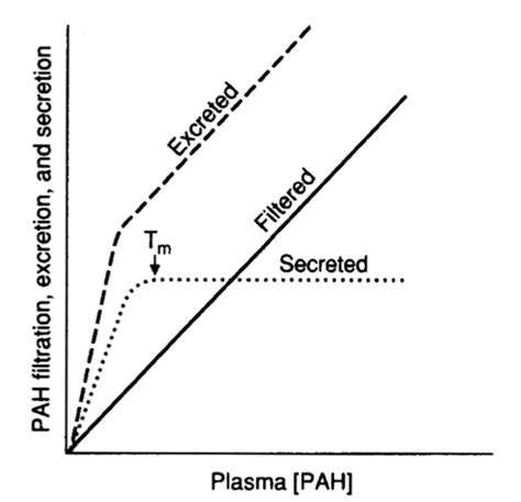 Renal plasma flow; measurement and control filtration fraction ...