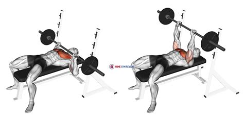 Barbell Guillotine Bench Press - Home Gym Review