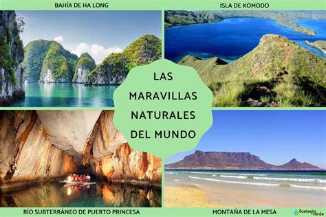 Maravillas de la Naturaleza: Un Viaje Ilustrado