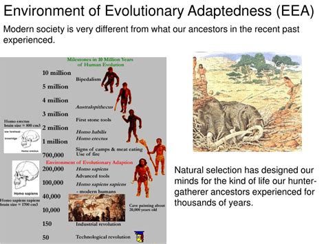 PPT - The evolution of human behavior PowerPoint Presentation, free ...