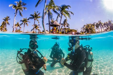 Diving Spots in the Philippines - Travel Dudes