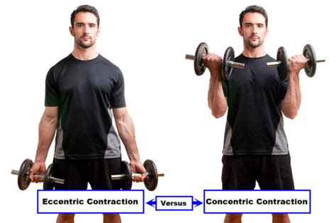 Eccentric Arm Training | EOUA Blog