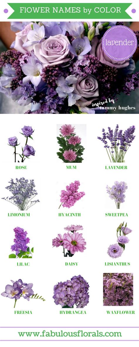 Purple flowers names with pictures | Message