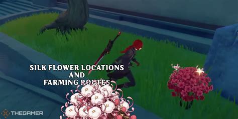 Genshin Impact: Silk Flower Locations And Farming Routes