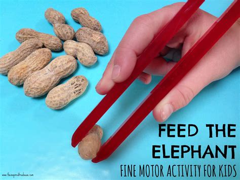 FINE MOTOR GRASPING SKILLS - FEED THE ELEPHANT