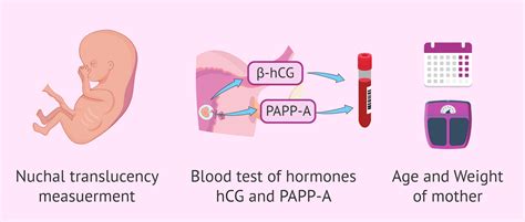 Invasive and Non-Invasive Prenatal Diagnostic Tests