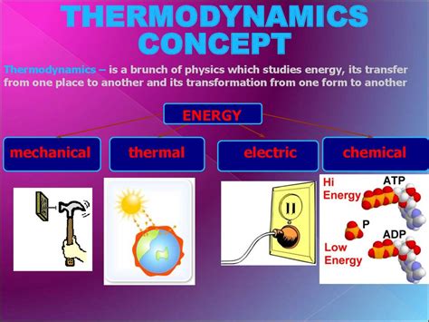 Thermodynamics of biological systems - презентация онлайн