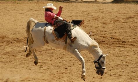 Cody Wyoming Night Rodeo - AllTrips