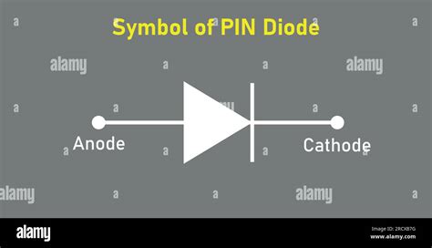 Symbol of PIN diode. Anode and cathode. Vector illustration isolated on grey background Stock ...