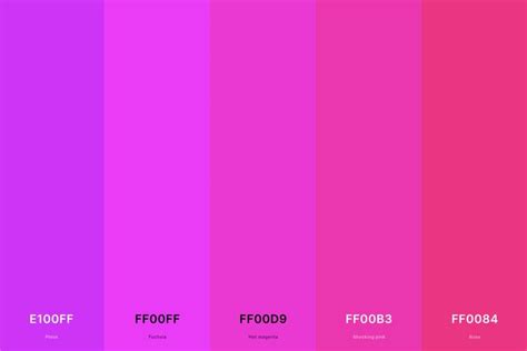 25+ Best Magenta Color Palettes with Names and Hex Codes in 2024 ...