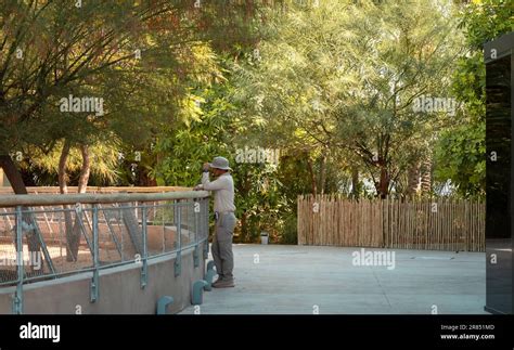 Dubai crocodile park Stock Photo - Alamy