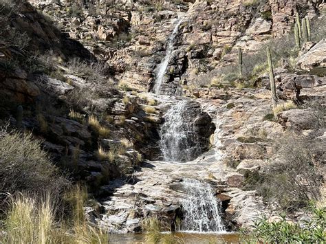 Hike to a little known Sabino Canyon Waterfall - WildPathsAZ