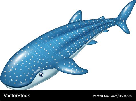 Whale Shark Cartoon - Fresh Outline Of A Whale Shark | Leitrisner