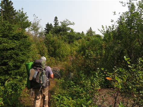 Researchers to track human impacts on Isle Royale wildlife | Quetico Superior Wilderness News