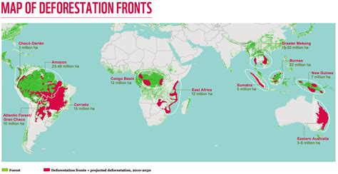 Deforestation fronts in the world were revealed by organization ...