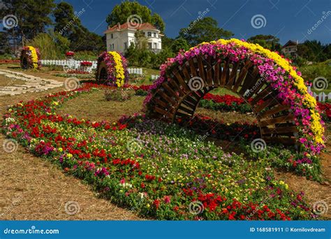 Flower city, Dalat stock image. Image of color, background - 168581911