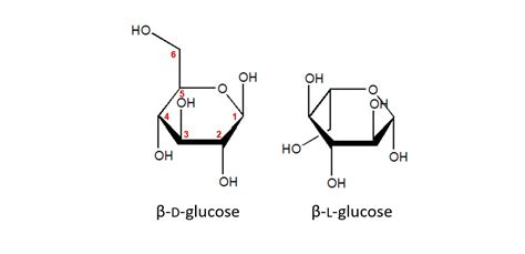 organic chemistry - In the Haworth projections of D and L glucose, is ...