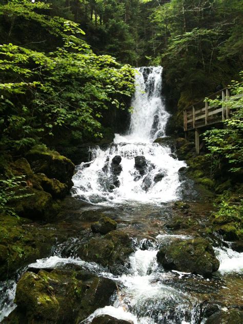 Free Images : forest, waterfall, moss, stream, body of water, leaves, rocks, rainforest ...