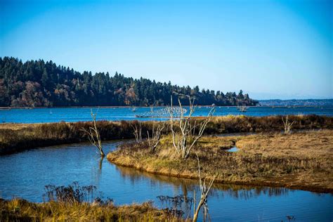 Take a Day Trip and Explore Wildlife at Billy Frank Jr. Nisqually National Wildlife Refuge ...