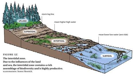 Ecological Concepts, Principles and Application to Conservation