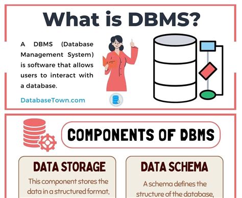 What is DBMS? (Components, Features, Advantages) - DatabaseTown