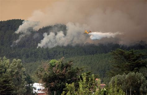 Wildfires rage on Canary Island of Tenerife, Spain – New York Daily News