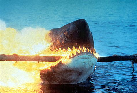 Going Back in the Water With 'Jaws 2' 45 Years Later