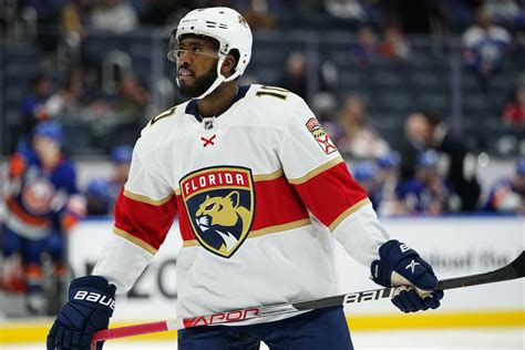 Florida Panthers lose Anthony Duclair to injury