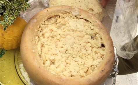 Casu Marzu – The World’s Most Dangerous and Weird Cheese - Malone Post