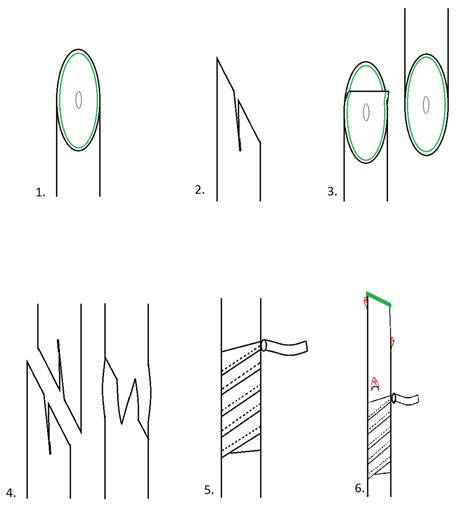 Grafting and its types - Overall Science