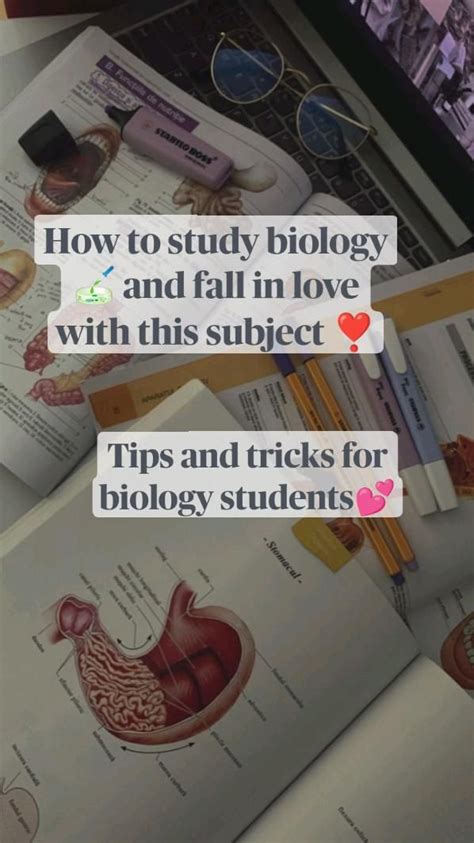 How to study biology 🧫 and fall in love with this subject ️ Tips and tricks for biology students ...