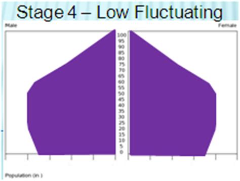 GCSE Population Pyramids